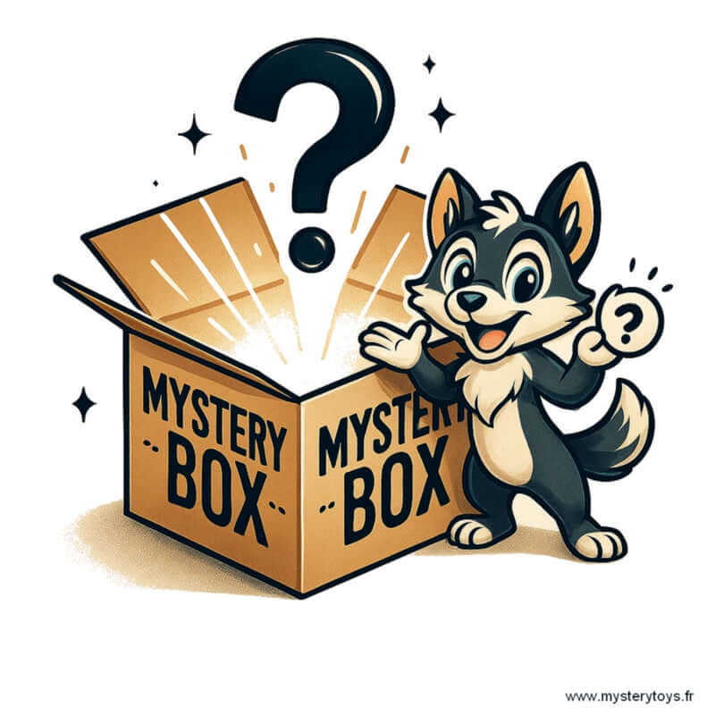 MYSTERY BOX - Pokémon